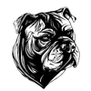 AresShield
