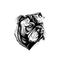 AresShield