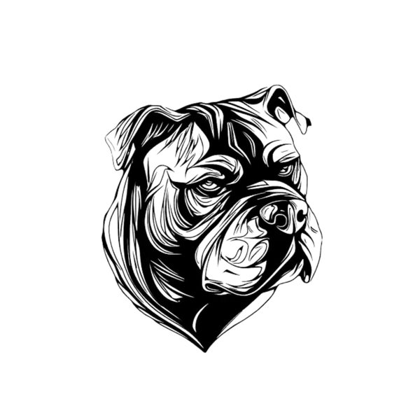 AresShield